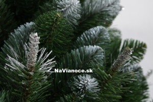 borovicový vianočný stromček