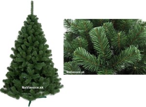 Vianočný stromček Borovica clasic hustá