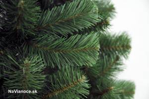 Vianočné stromčeky Borovice clasic husté