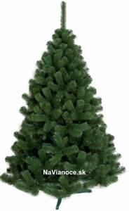 Vianočné stromčeky Borovice clasic husté