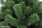 Vianočný stromček Borovica clasic hustá