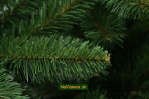 smrek sibírsky vianočný stromček