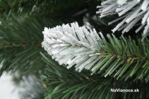 Zasnežené vianočné stromčeky – zasnežené borovice